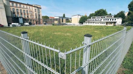 Bald nicht mehr grüne Wiese? Berggruen will das Eckgrundstück Am Kanal bebauen, die PWG das Kunsthaus sans titre dahinter erhalten und umbauen.