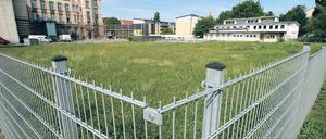 Bald nicht mehr grüne Wiese? Berggruen will das Eckgrundstück Am Kanal bebauen, die PWG das Kunsthaus sans titre dahinter erhalten und umbauen.