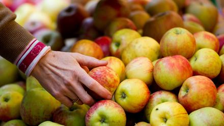 Markt. Händler möchten Obst und Gemüse im Kirchsteigfeld anbieten.