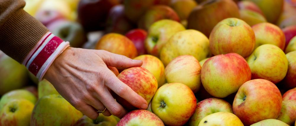 Markt. Händler möchten Obst und Gemüse im Kirchsteigfeld anbieten.