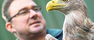 Zurück in die Freiheit. Forstwirtschaftsmeister Falko Göbert hält einen verletzten Seeadler in der Greifvogelstation Oppelhainer Pechhütte. Ziel ist die Wiederauswilderung.