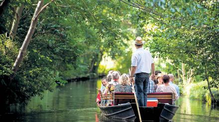 Kahnfahrt im Spreewald. Das Land Brandenburg wird als Ziel für Touristen immer beliebter. Die neuen Zahlen wurden am Freitag vorgestellt.