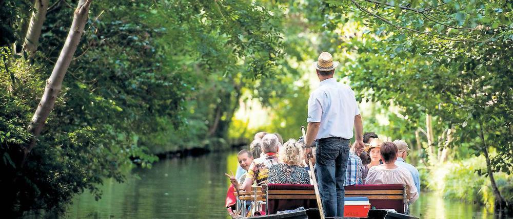 Kahnfahrt im Spreewald. Das Land Brandenburg wird als Ziel für Touristen immer beliebter. Die neuen Zahlen wurden am Freitag vorgestellt.
