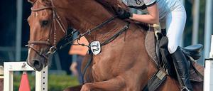 Erste Hürde gemeistert. Potsdams Janine Kohlmann, die bei ihren Wettbewerben mit einem Pferd durch den Sprungparcours muss, hat 2015 bereits einen Olympia-Quotenplatz für das deutsche Pentathlon-Frauen-Team erkämpft.