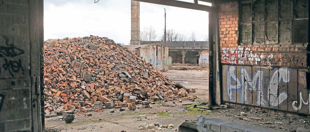 Endlich. Seit Ende Dezember laufen die Abrissarbeiten auf dem Teltomat-Gelände in Michendorf. Dort soll seit Jahrzehnten ein Ortszentrum entstehen.