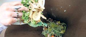 Tausende Potsdamer haben wegen der hohen Kosten für den Bioabfall kleinere Mülltonnen beantragt. Das belastet zunehmend die städtische Verwaltung.