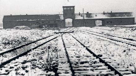 Organisierter Massenmord. Das Konzentrationslager Auschwitz.