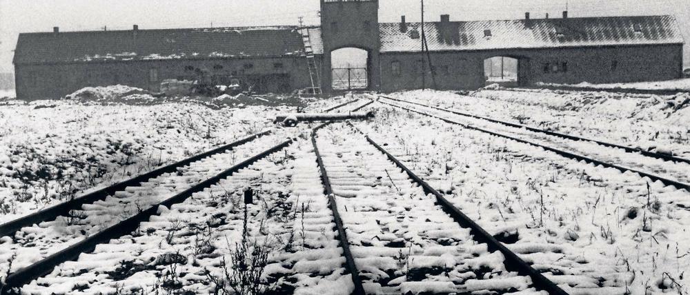 Organisierter Massenmord. Das Konzentrationslager Auschwitz.