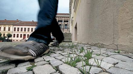 Potsdam: Ein Streit um Bußgeldbescheide für Grashalme auf Gehwegen beschäftigt wohl bald die Justiz.