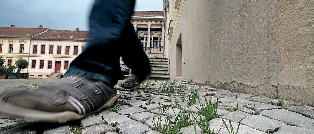 Potsdam: Ein Streit um Bußgeldbescheide für Grashalme auf Gehwegen beschäftigt wohl bald die Justiz.