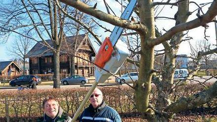 Wie durch Butter. Mit dem neuen „Akku- Hoch-Entaster“ schafft Hans-Jürgen Wilhelm (l.) täglich bis zu 65 Bäume. Die Arbeit ist deutlich weniger anstrengend als mit der Handsäge.