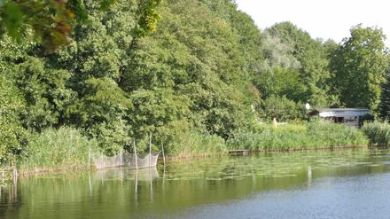 Gilt als Geheimtipp: der Caputher See.
