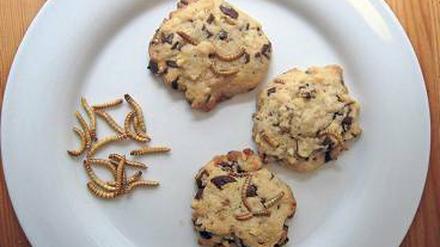 Da ist der Wurm drin. In Asien sind Mehlwurm-Kekse beliebt.