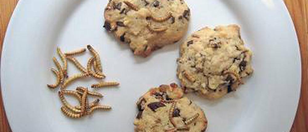 Da ist der Wurm drin. In Asien sind Mehlwurm-Kekse beliebt.