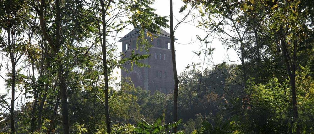 Auf den Brauhausberg soll man künftiauch von der Speicherstadt aus gelangen.