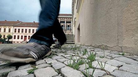 Ein Streit um Bußgeldbescheide für Grashalme auf Gehwegen in Potsdam beschäftigte die Justiz.