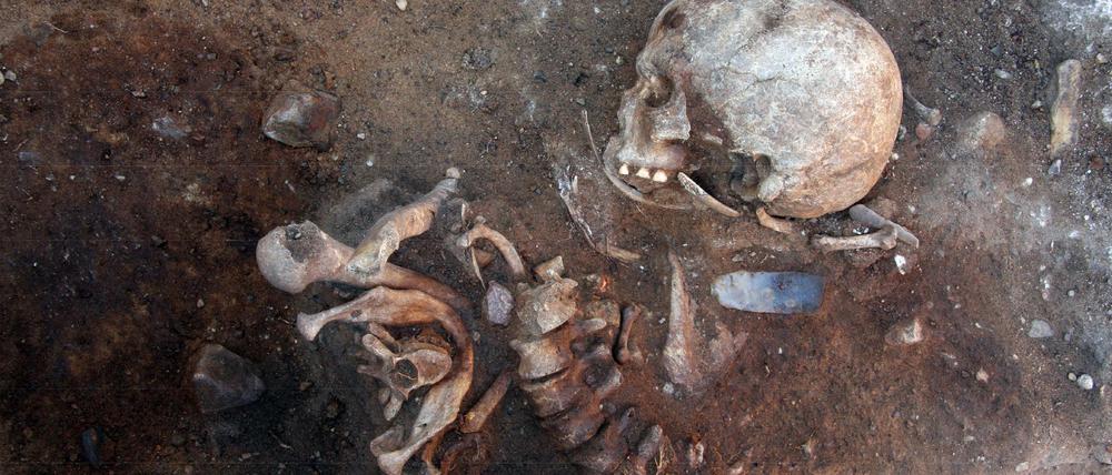 Auch dieses mehr als 8000 Jahre alte Baby-Skelett wurde in der Uckermark gefunden.