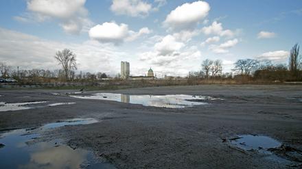 Die vier Hektar große Brache der nördlichen Speicherstadt soll zu einem Wohn- und Gewerbequartier für Wissenschaftler werden.