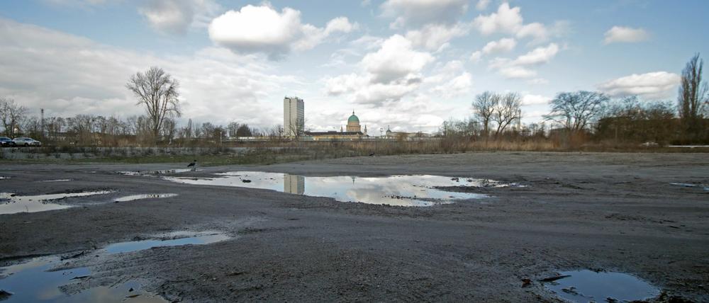Die vier Hektar große Brache der nördlichen Speicherstadt soll zu einem Wohn- und Gewerbequartier für Wissenschaftler werden.