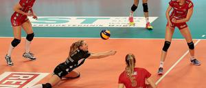 Das Team des SC Potsdam verschenkte gegen Schwerin keinen Punkt, sondern versuchte mit viel Einsatzwillen, jeden Angriff abzuwehren.