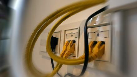 Mit dem Anschluss von Golm an das Glasfasernetz wird eine der letzten großen Lücken in Potsdam geschlossen.