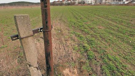 Der Wissenschaftspark in Golm soll auf diesem zehn Hektar großen Gebiet erweitert werden. Es liegt im Norden des Parks, hinter einem Supermarkt.