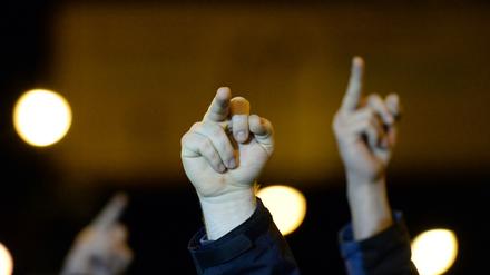 Linke Gegendemonstranten zeigten am 27. Januar, was sie von Pogida halten. Ein Gegendemonstrant wurde nach einem Ei-Wurf festgenommen.