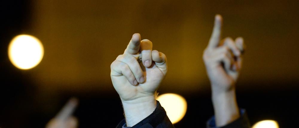 Linke Gegendemonstranten zeigten am 27. Januar, was sie von Pogida halten. Ein Gegendemonstrant wurde nach einem Ei-Wurf festgenommen.