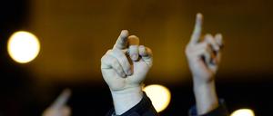 Linke Gegendemonstranten zeigten am 27. Januar, was sie von Pogida halten. Ein Gegendemonstrant wurde nach einem Ei-Wurf festgenommen.