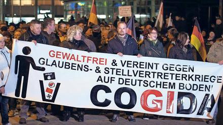 Experten sehen keine Zukunft für Pegida. Hier ein Bild von einer Demo des Pegida-Ablegers in Cottbus im Februar 2015.