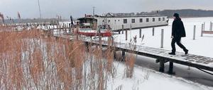 Abgeschieden. Nur Tiere als Nachbarn.