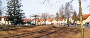 Mehr Platz zum Feiern? Der Dorfplatz nach den Fällmaßnahmen.