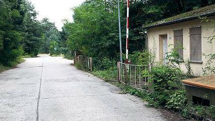 Heim für Tiere. Der Tierschutzverein soll das Sago-Gelände nutzen.