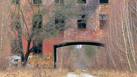 Im Dornröschenschlaf. Eines Tages sollen hier 3800 Menschen leben.