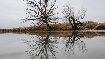 Es bleibt winterlich am Wochenende in Brandenburg.