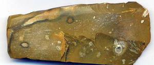 Seltener Fund. Ein uraltes Steinbeil wurde in Zossen entdeckt.