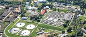 Muss das Land jetzt für die Schäden geradestehen? Rechtsanwalt Ingo Zeutschel sagt: Ja.