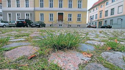 Hier ist nicht der Stein, sondern der Halm dazwischen der Anstoß.