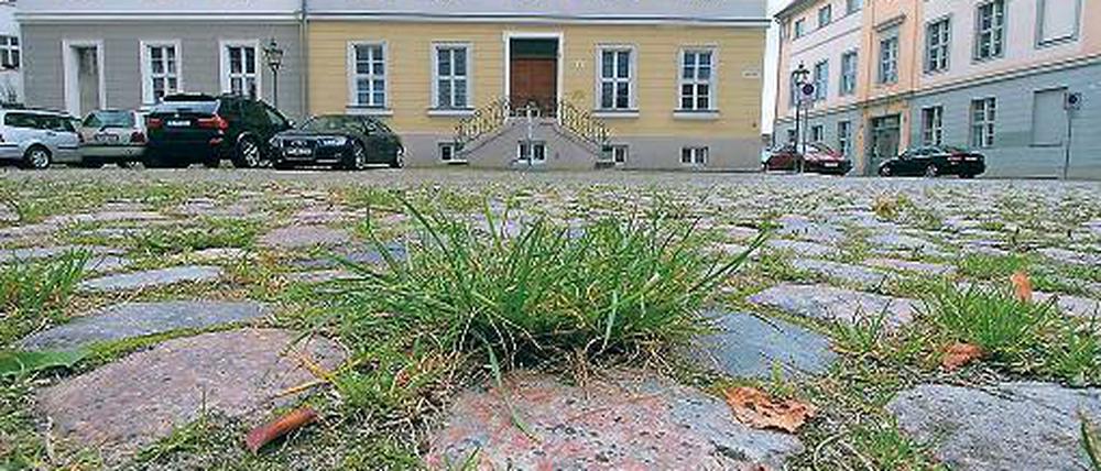 Hier ist nicht der Stein, sondern der Halm dazwischen der Anstoß.