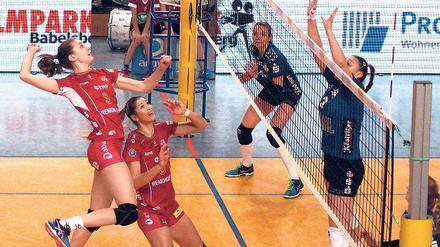 In vielen Belangen wertvoll. Lisa Gründing (links) ragte in einem guten Potsdamer Team heraus. Die Mittelblockerin war stark im Angriff und in der Abwehr. Zudem setzte sie die Volleystars mit guten Aufschlägen unter Druck.