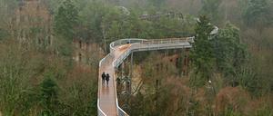 Der Baumwipfelpfad ist auch im Winter geöffnet.