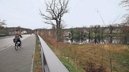 Ausgeufert. An der Nedlitzer Nordbrücke endet derzeit eine Grünfläche. An ihrer Stelle kann sich die Stadtverwaltung auch Wohnhäuser vorstellen. Wo dann ein Uferweg verlaufen soll, wäre somit offen.
