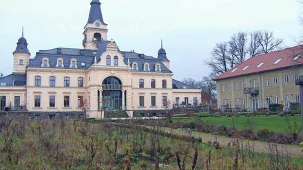 Gestrüpp statt Schlosspark. Derzeit wächst vor dem Güterfelder Schloss eine wilde Wiese. Die Gemeinde will nun den früheren Schlosspark mit seinen geometrischen Achsen wieder herrichten, dafür hat sie mit dem Eigentümer Grundstücke getauscht.