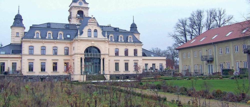 Gestrüpp statt Schlosspark. Derzeit wächst vor dem Güterfelder Schloss eine wilde Wiese. Die Gemeinde will nun den früheren Schlosspark mit seinen geometrischen Achsen wieder herrichten, dafür hat sie mit dem Eigentümer Grundstücke getauscht.