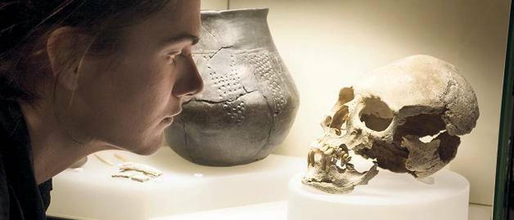 Spur nach Thüringen? Der rätselhafte Turmschädel aus Ketzin.