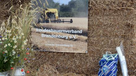 Der Werbespot "Wir machen Tierwohl" des Landesbauernverbands Brandenburg darf nicht mehr über die Bildschirme der Potsdamer Trams flimmern.