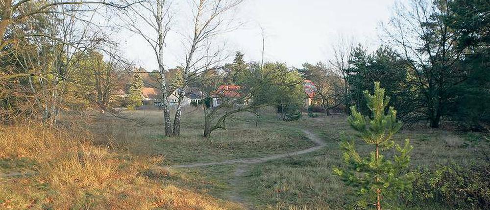 Noch Platz für Neubauten. Unter anderem im Rehgraben-Wohngebiet hat die Gemeinde noch Flächen ausgemacht, auf denen Geschossbauten entstehen könnten – hier gegenüber der Bushaltestelle Nudower Grund.