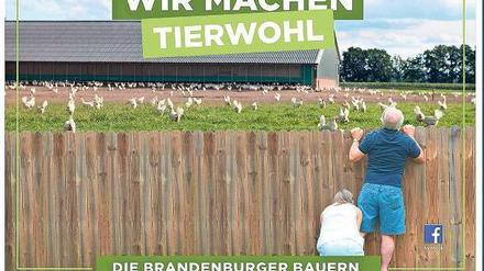 Überm Gartenzaun. Zwischen Michendorf und Potsdam hängt seit gestern dieses zweieinhalb mal dreieinhalb Meter große Plakat neben der Bundesstraße 2. Der Kreisbauernverband wirbt damit dafür, sich bei Bauern vor Ort über deren Tierhaltung zu informieren.