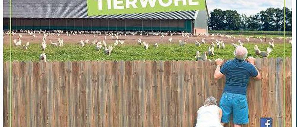 Überm Gartenzaun. Zwischen Michendorf und Potsdam hängt seit gestern dieses zweieinhalb mal dreieinhalb Meter große Plakat neben der Bundesstraße 2. Der Kreisbauernverband wirbt damit dafür, sich bei Bauern vor Ort über deren Tierhaltung zu informieren.