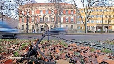 Viel Glück. Ein Baum kapitulierte vor dem Sturm und krachte auf die Hegelallee. Die Feuerwehr musste die Straße räumen. Zurück blieb ein abgebrochener Ast.